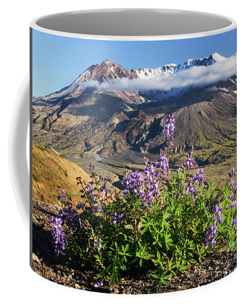 Mount Coffee Mug featuring the photograph Life will find a way by Patrick Campbell
