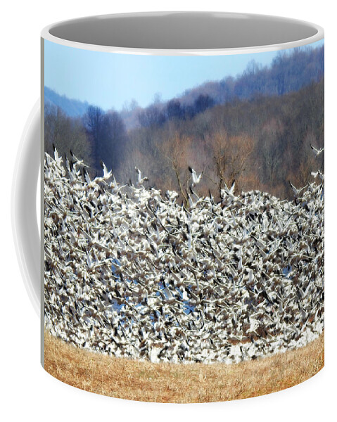 Lift Off Coffee Mug featuring the photograph Lift Off by Dark Whimsy