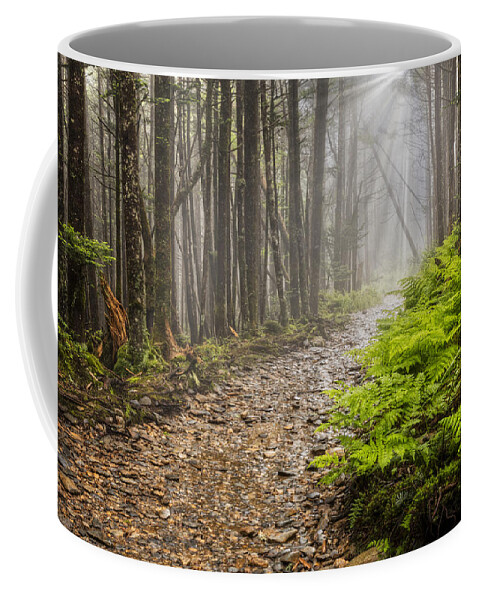 Trail Coffee Mug featuring the photograph Light Beams by Debra and Dave Vanderlaan