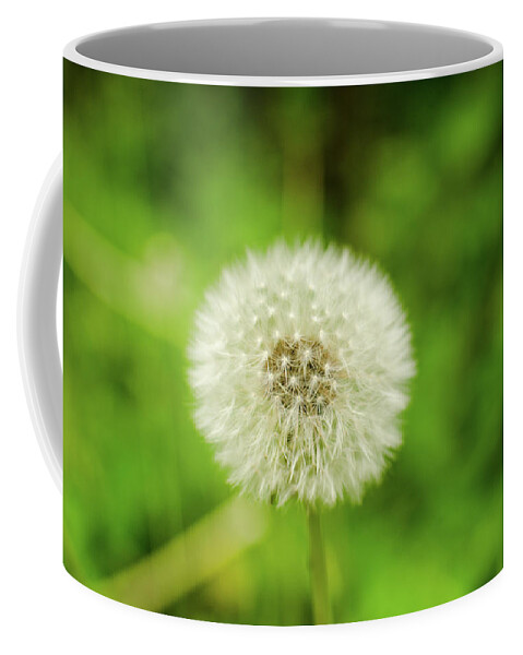 Dandelion Coffee Mug featuring the photograph Light Breeze by Miguel Winterpacht