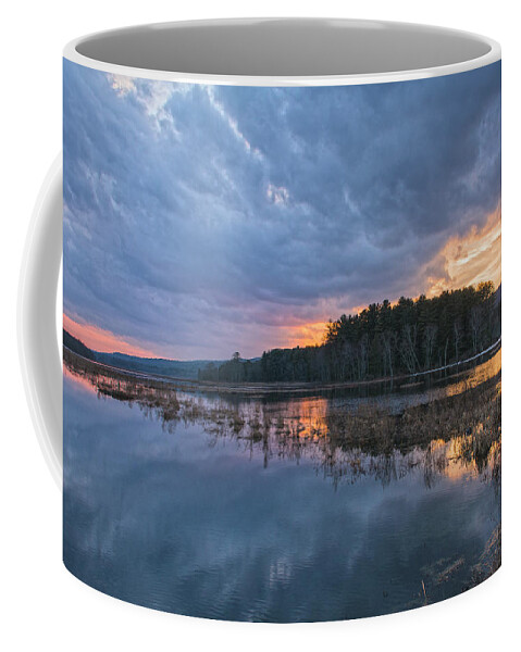 Wetlands Coffee Mug featuring the photograph Light Cycles by Angelo Marcialis