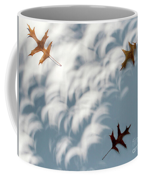 Light Coffee Mug featuring the photograph Light of the Eclipse by Adam Long