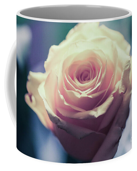 Art Coffee Mug featuring the photograph Light Pink Head Of A Rose On Blue Background by Amanda Mohler