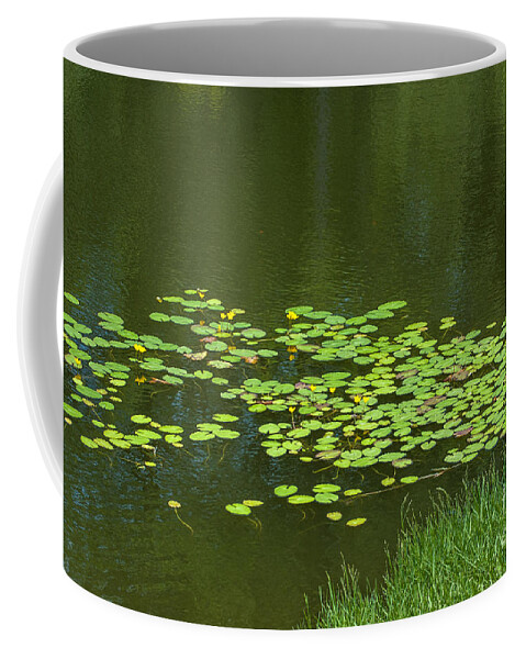 Lilly Pad Coffee Mug featuring the photograph Liily Pads Afloat by Dale Powell