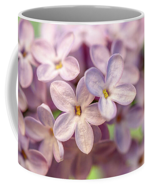 Lilac Coffee Mug featuring the photograph Lilac Blossom by Mary Anne Delgado