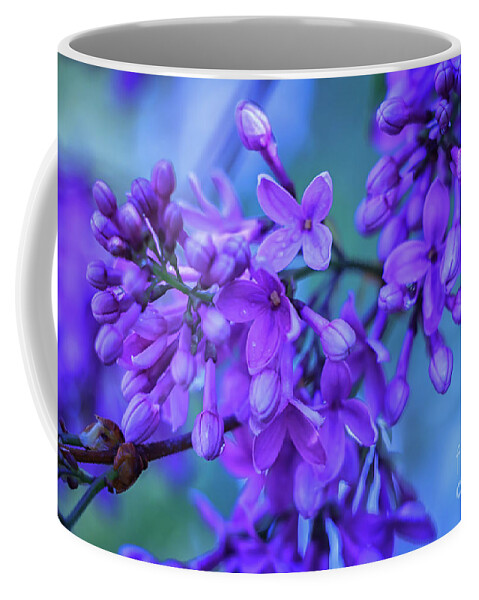 Lilacs Coffee Mug featuring the photograph Lilac Blues by Elizabeth Dow