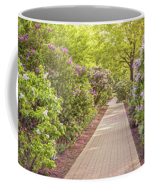 Dupage County Coffee Mug featuring the photograph Lilacia Park Pathway by Joni Eskridge