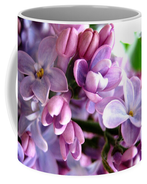 Lilacs Coffee Mug featuring the photograph Lilacs by Cindy Schneider