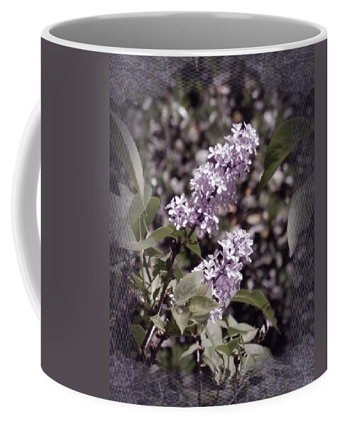 Lilac Coffee Mug featuring the photograph Lilacs in Lace by Laura Iverson