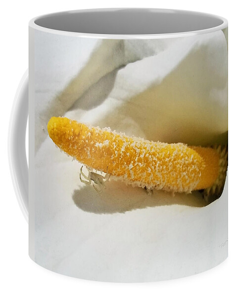  Farmboyzim Coffee Mug featuring the photograph Lilly and her Friend by Harold Zimmer