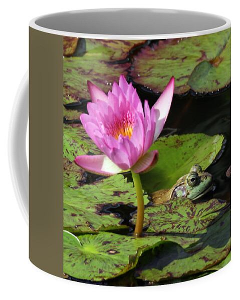 Frog Coffee Mug featuring the photograph Lily and the Bullfrog by Jennifer Robin