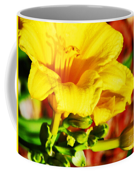 Flowers Coffee Mug featuring the photograph Lily by Don Baker