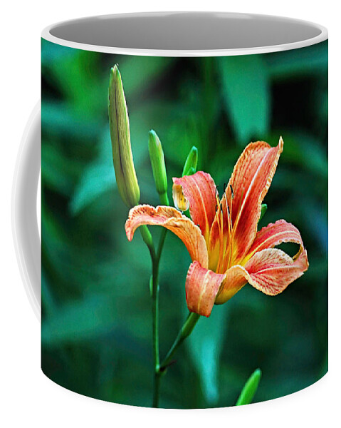 Lily Coffee Mug featuring the photograph Lily in Woods by William Jobes