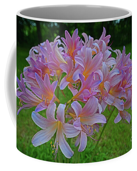 Lily Coffee Mug featuring the photograph Lily Lavender by George D Gordon III