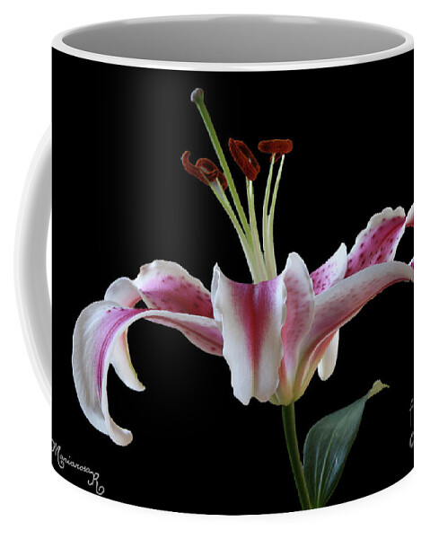 Flower Coffee Mug featuring the photograph Lily by Mariarosa Rockefeller