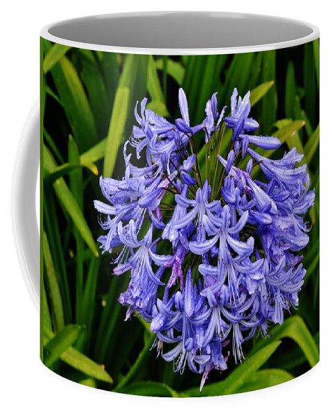 Flowers Coffee Mug featuring the photograph Lily of the Nile by Eileen Brymer