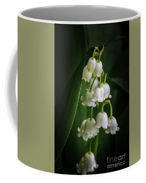 Lily Of The Valley Coffee Mug featuring the photograph Lily Of The Valley Bouquet by Tamara Becker