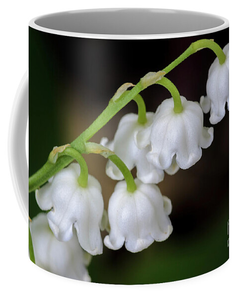 Lily Of The Valley Coffee Mug featuring the photograph Lily Of The Valley Flowers by Tamara Becker
