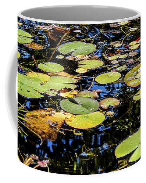 Lily Pad Coffee Mug featuring the photograph Lily Pads by Adam Morsa