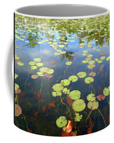 New Hampshire Coffee Mug featuring the photograph Lily Pads and Reflections by Susan Lafleur