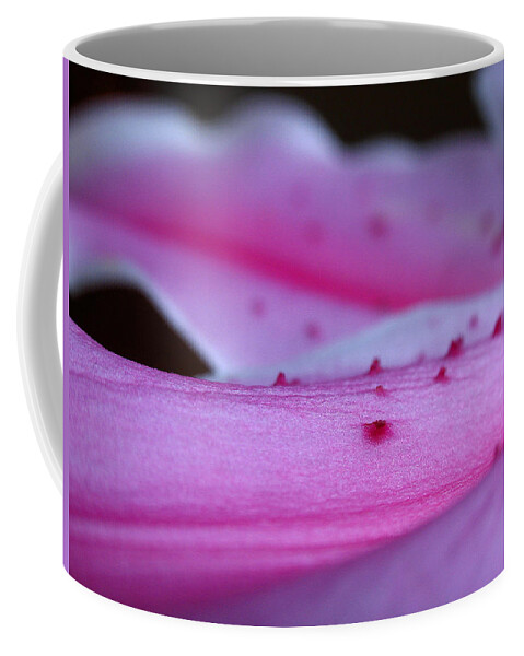 Lily Coffee Mug featuring the photograph Lily Sepal by Juergen Roth