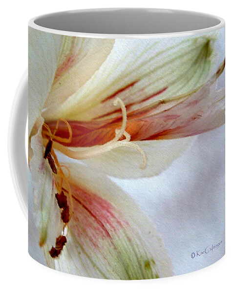 Lily Coffee Mug featuring the photograph Lily with Texture by Kae Cheatham