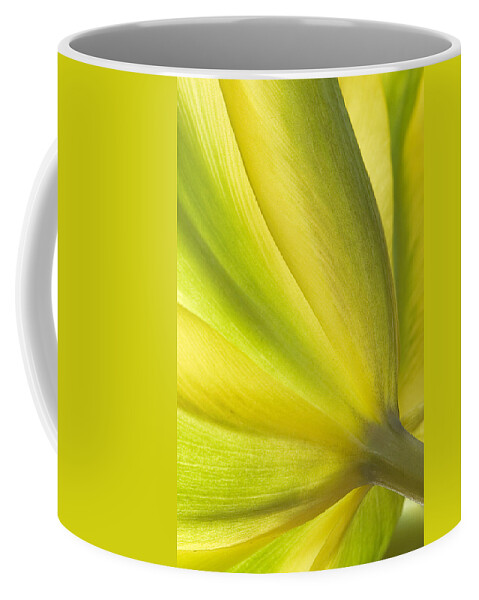 Tulip Coffee Mug featuring the photograph Lime Tulip by Jill Love