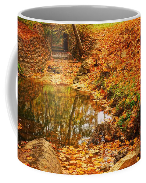  Coffee Mug featuring the photograph Lineberger Park 6 by Rodney Lee Williams