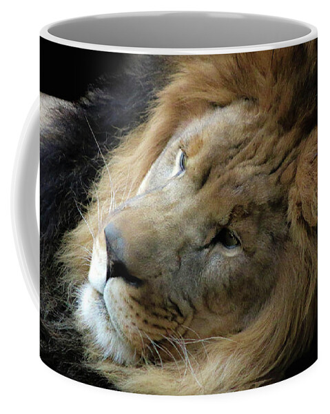 Lion Coffee Mug featuring the photograph Lion King Memphis Zoo by Veronica Batterson