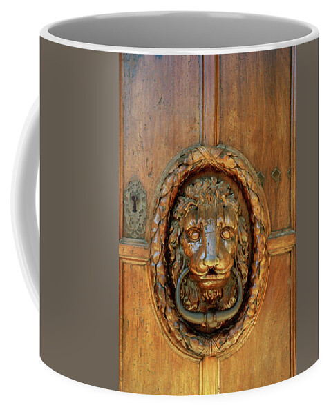 Lion Coffee Mug featuring the photograph Lion Of Aix by Shaun Higson