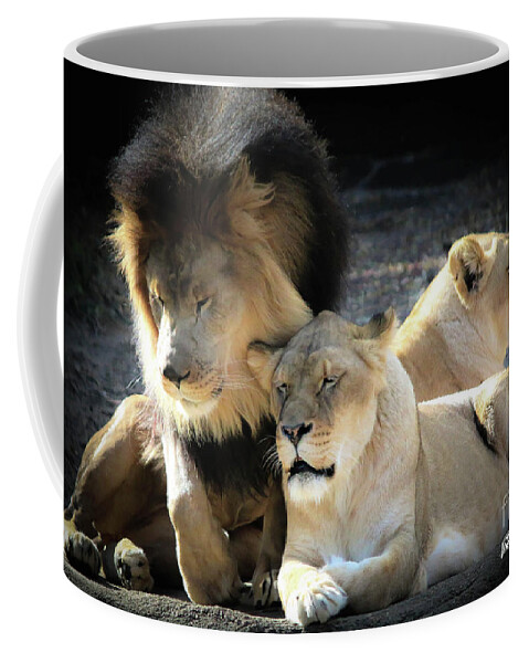 Lions Coffee Mug featuring the photograph Lion Pride Memphis Zoo by Veronica Batterson