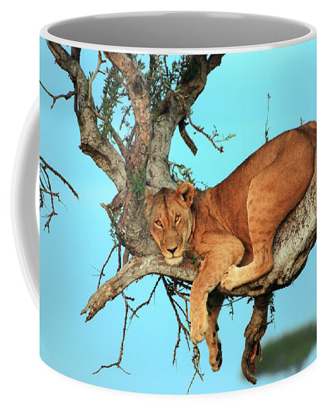 Africa Coffee Mug featuring the photograph Lioness in Africa by Sebastian Musial