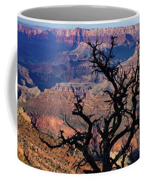 Grand Canyon National Park Coffee Mug featuring the photograph Lipan Overlook Grand Canyon 1 by Jerry Fornarotto
