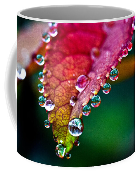 Flora Coffee Mug featuring the photograph Liquid Beads by Christopher Holmes