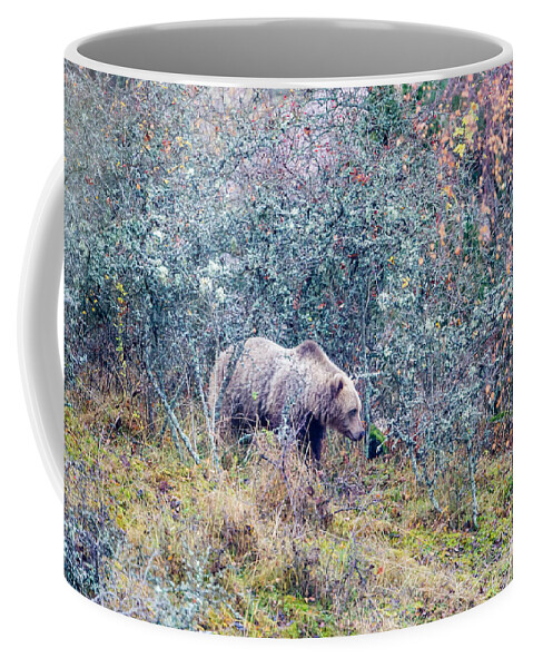 Bear Coffee Mug featuring the photograph Listening Bear by Torbjorn Swenelius
