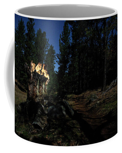 Landscape Coffee Mug featuring the photograph Lit Log Along the Trail by Scott Cunningham
