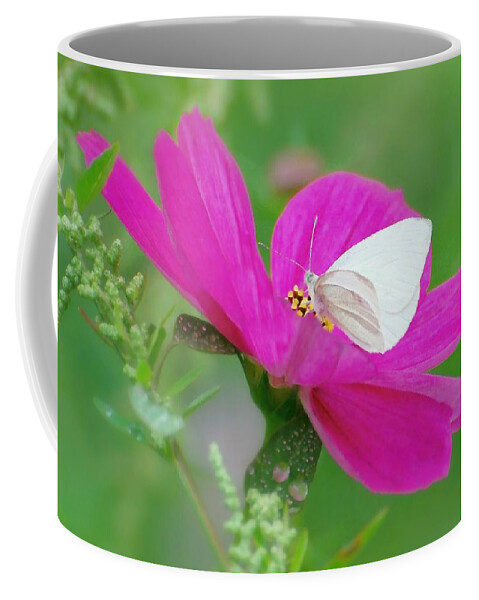 Little Bit Of You Coffee Mug featuring the photograph Little Bit of You by Diana Angstadt