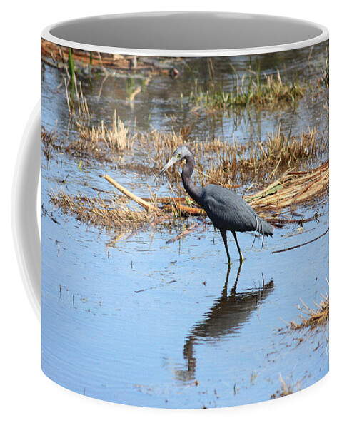 Little Blue Heron Coffee Mug featuring the photograph Little Blue Heron in the Marsh by Carol Groenen