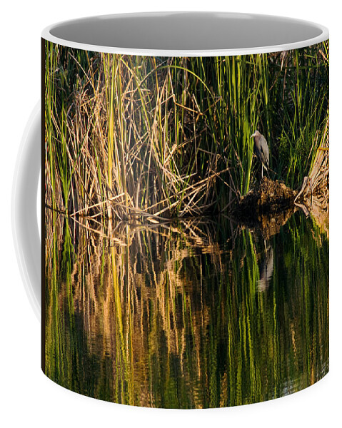 Heron Coffee Mug featuring the photograph Little Blue Heron by Steven Sparks