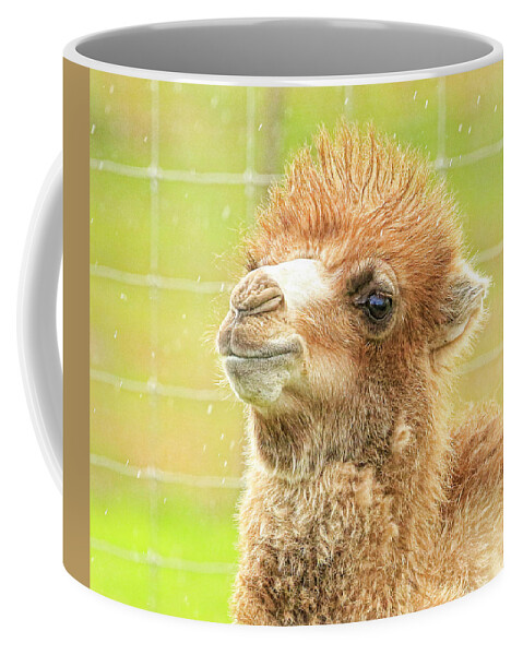 Camel Coffee Mug featuring the photograph Little Camel by Steve McKinzie