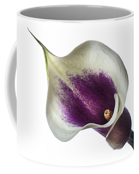 Flower Coffee Mug featuring the photograph Little Colored Calla Lily by Endre Balogh