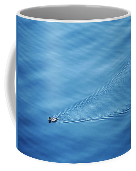 Blue Coffee Mug featuring the photograph Little Duck Big Lake by Todd Bannor
