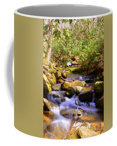 Little Gap Creek Coffee Mug featuring the photograph Little Gap Creek by Lisa Wooten