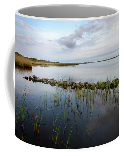 Back Bay Coffee Mug featuring the photograph Little Jetty by Michael Scott