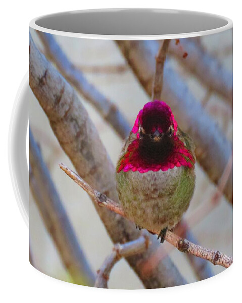 Animals Coffee Mug featuring the photograph Little Jewel All Aglow by Judy Kennedy
