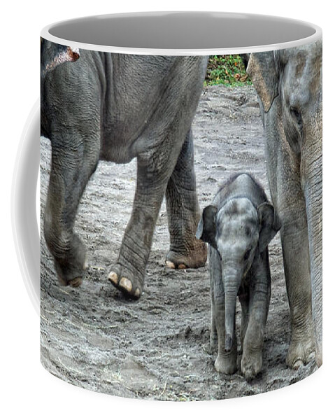 Elephant Coffee Mug featuring the photograph Little One by Shari Nees