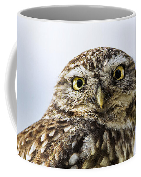 Little Owl Coffee Mug featuring the photograph Little Owl by Paul Neville