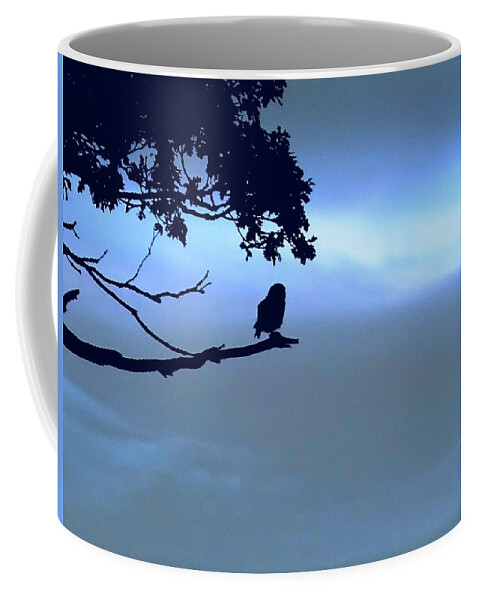 Owl Coffee Mug featuring the photograph Little owl watching by Susan Baker