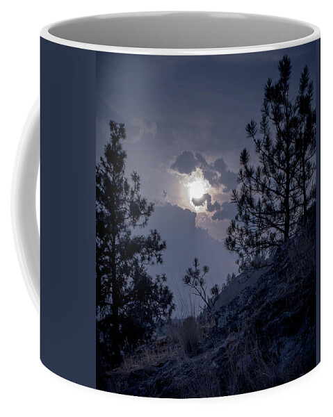 Rattlesnake Mt Coffee Mug featuring the photograph Little Pine by Troy Stapek