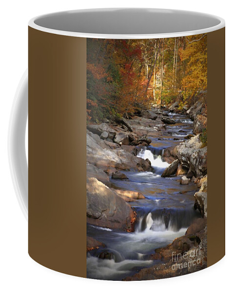 River Coffee Mug featuring the photograph Little River Stream by Geraldine DeBoer